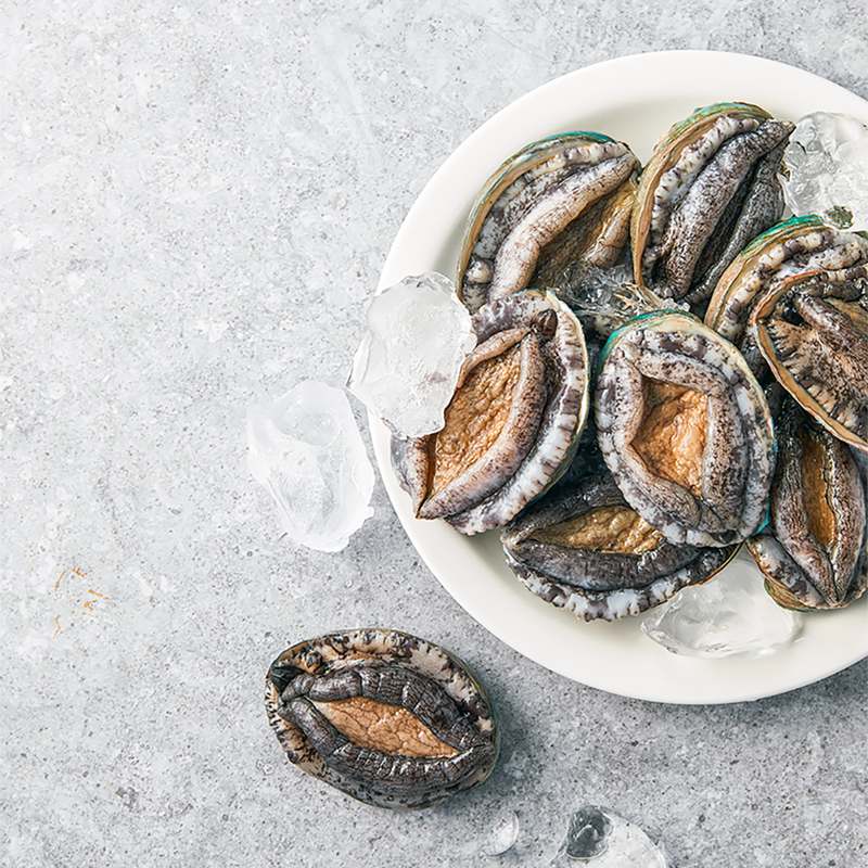 명절 선물로 딱! 신선한 전복 세트와 손질도구로 특별한 하루를 만들어보세요