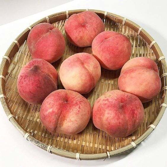 달콤한 복숭아와 황도, 신선한 물복숭아까지! 여름철 과일 추천