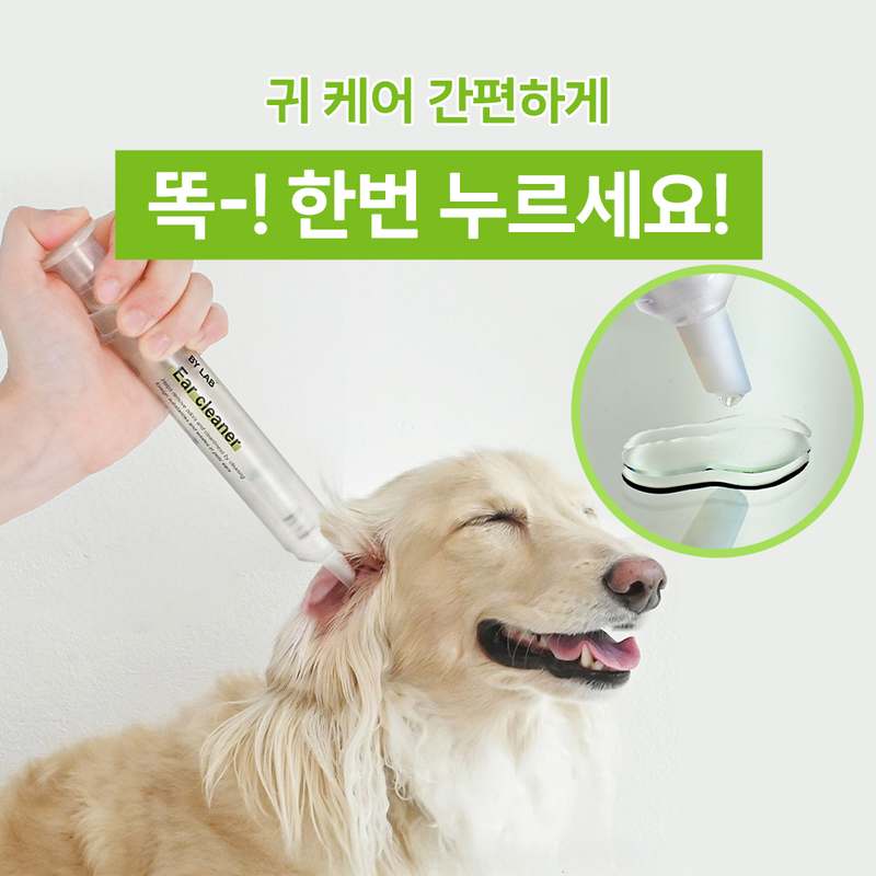 강아지 귀 관리, 이렇게 쉽고 간편하게 할 수 있어요!
