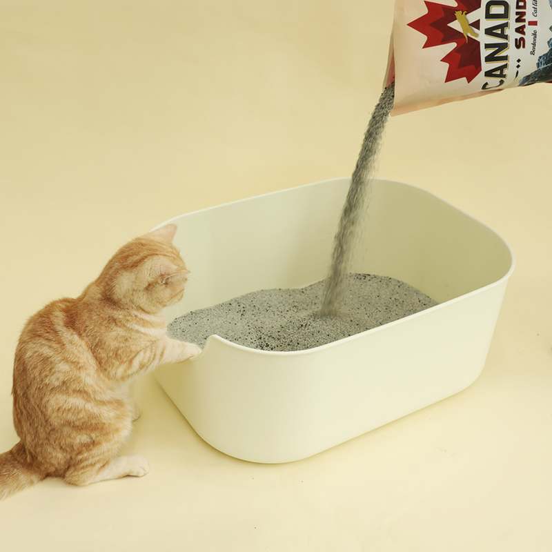 고양이 모래, 캐네디언샌드 벤토나이트로 깔끔하게 관리하는 방법