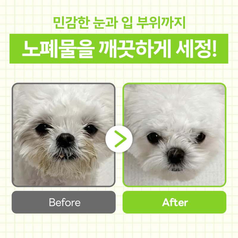 강아지 얼굴 세정에 딱! 페이스 클렌징 플러스 소개와 사용 팁