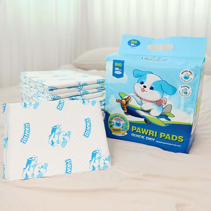 일상에서 편하게 쓰는 대형 배변패드 추천, 포우리 퀵드라이 후기