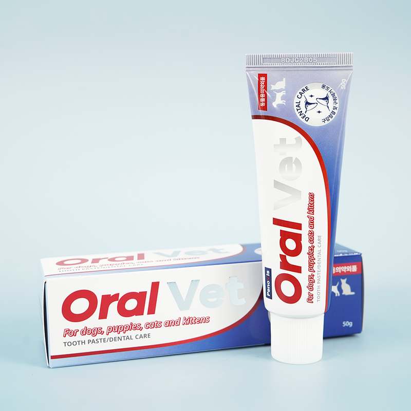 반려동물 입냄새 걱정 끝! 간편하게 구취 제거하는 방법