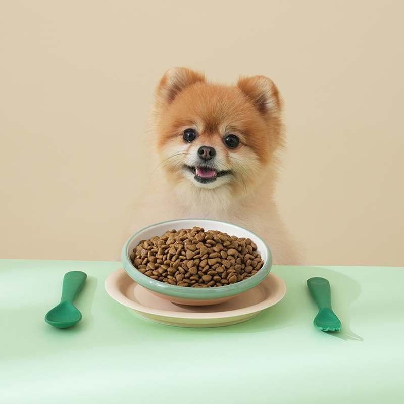 강아지 건강을 위한 저알러지 사료, 믿고 선택하는 시그니처 2.0