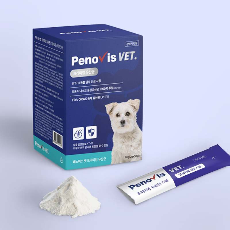 우리 강아지 건강을 위한 유산균 선택, 이렇게 해보세요!