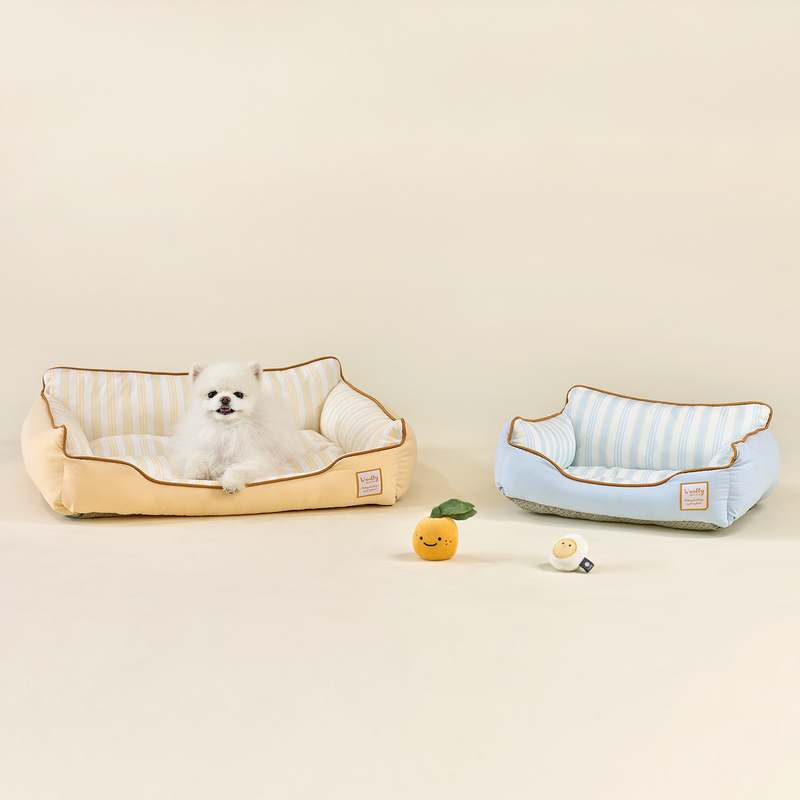 더운 여름철 강아지와 고양이도 시원하게! 쿨링 방석 추천