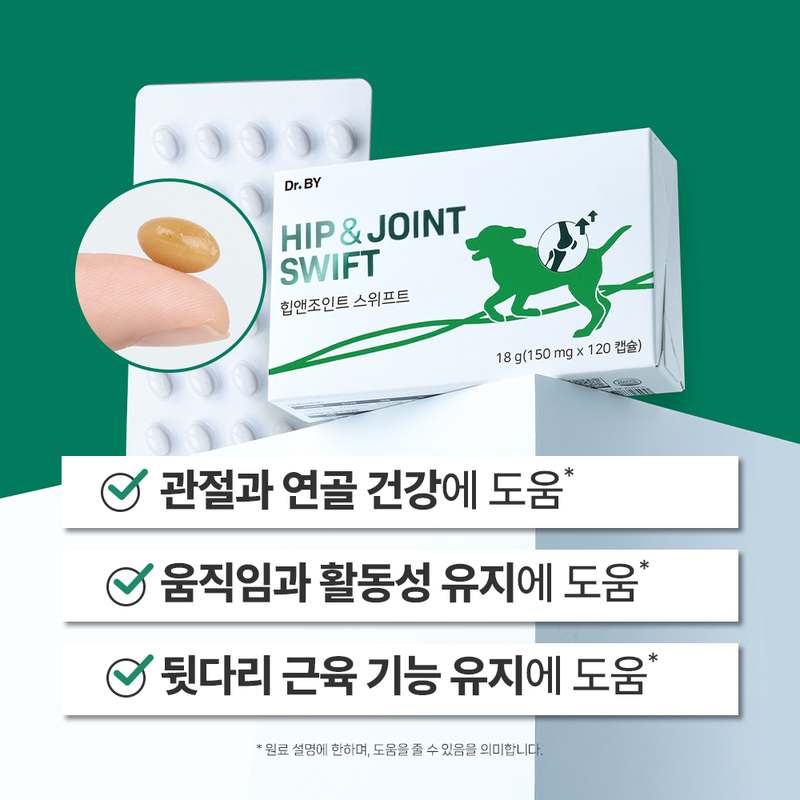 강아지 관절 건강, 이렇게 챙기면 좋아요! 쉽게 시작하는 관절 영양제 이야기