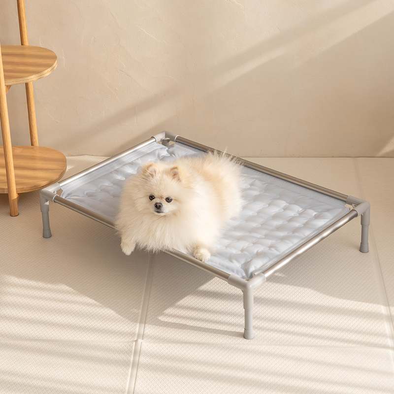 더운 날씨에 딱! 강아지와 고양이 모두 시원하게 쉴 수 있는 쿨매트 추천