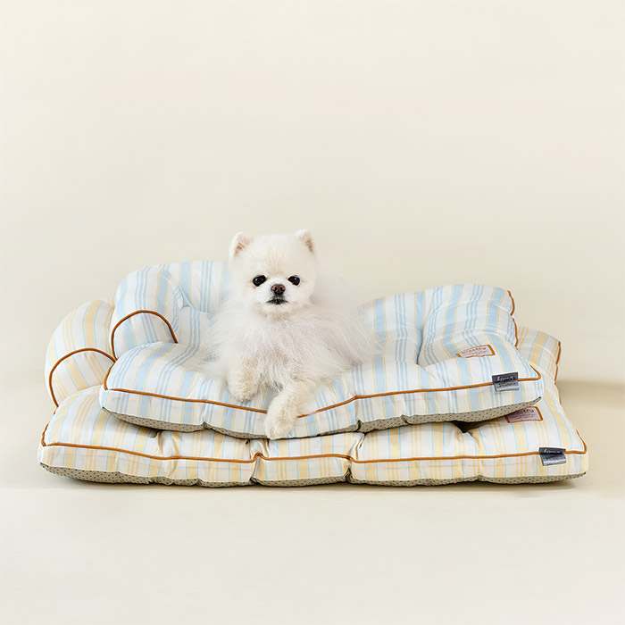 더운 여름철 강아지와 고양이도 시원하게! 울리 쿨링 필로우 추천