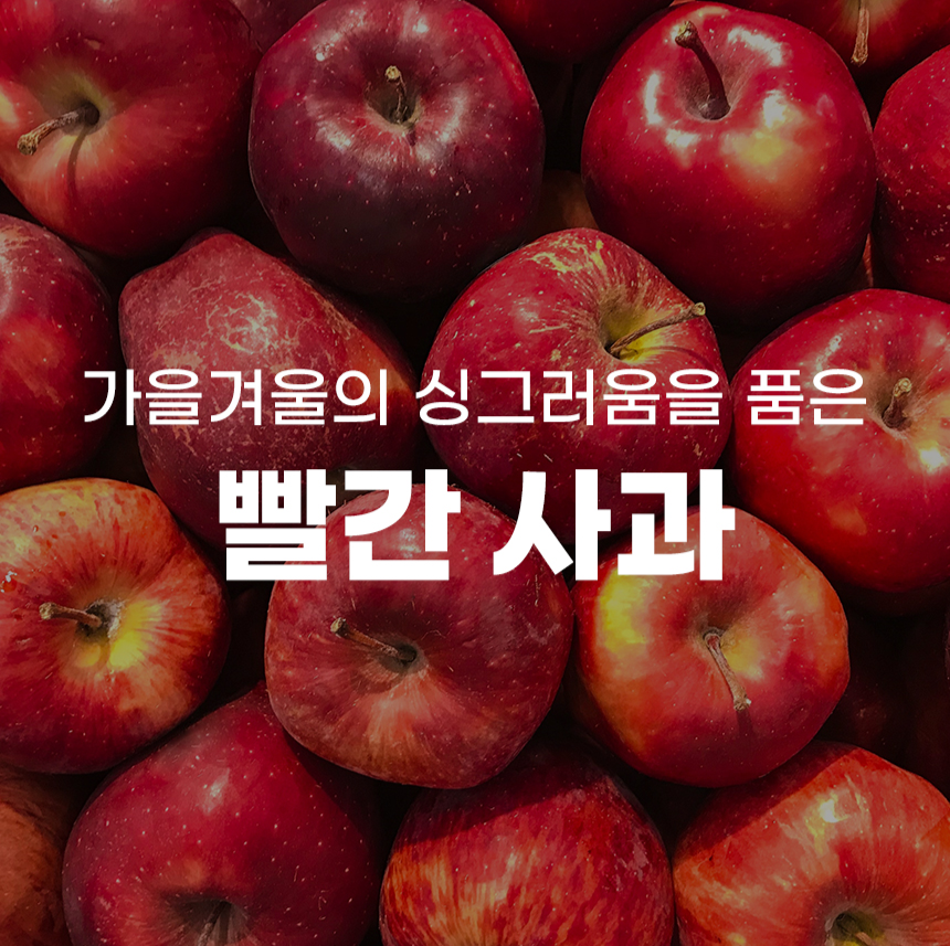 못생겨도 맛은 최고! 문경 사과 5kg과 청송 사과 10kg 추천