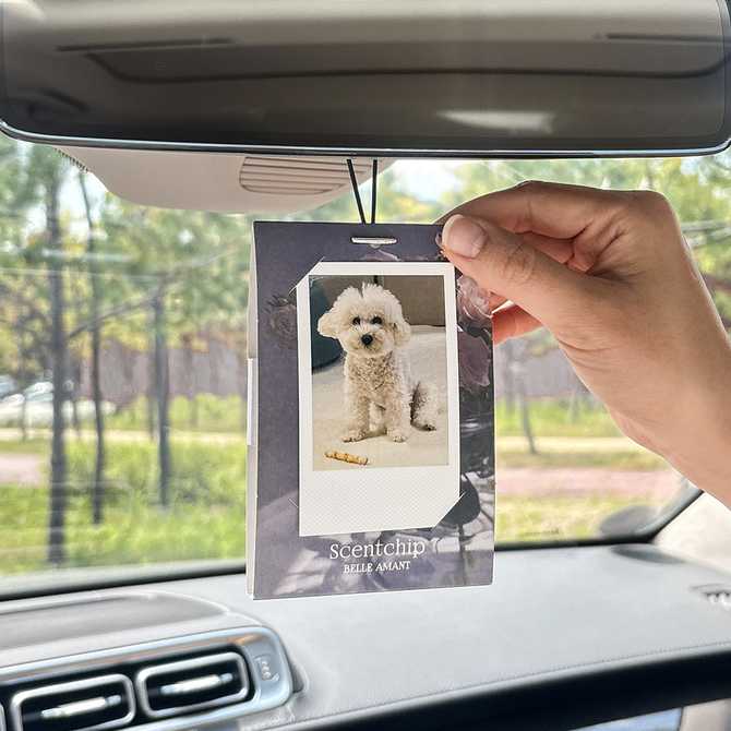 차량용 방향제, 간편하게 걸이형으로 즐기기 좋은 제품 추천