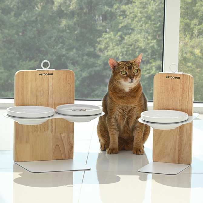 집에서 편하게 사용할 수 있는 원목과 철제 높이 조절 강아지밥그릇