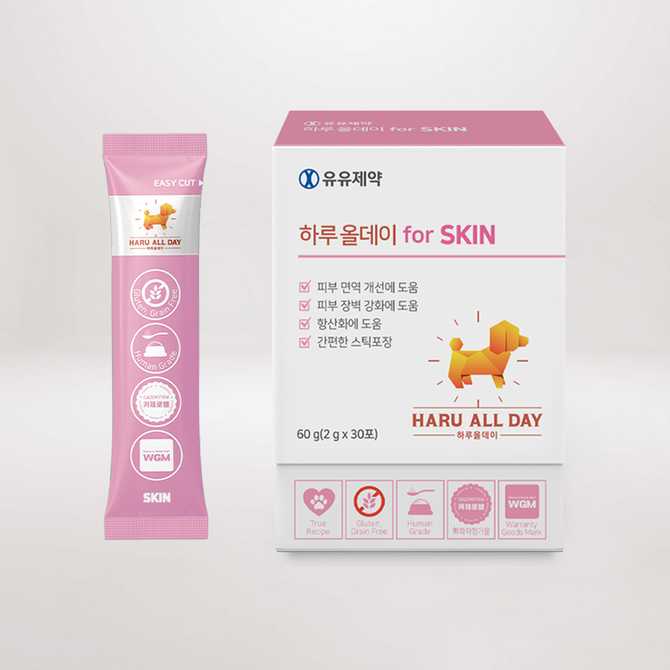 반려견 피부 건강을 위한 영양제, 어떤 제품이 좋을까?