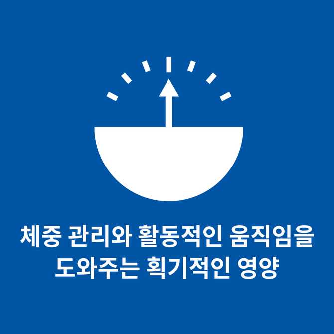 강아지 건강을 위한 힐스 퍼펙트 웨이트&조인트 서포트 사료, 어떤 점이 좋을까?