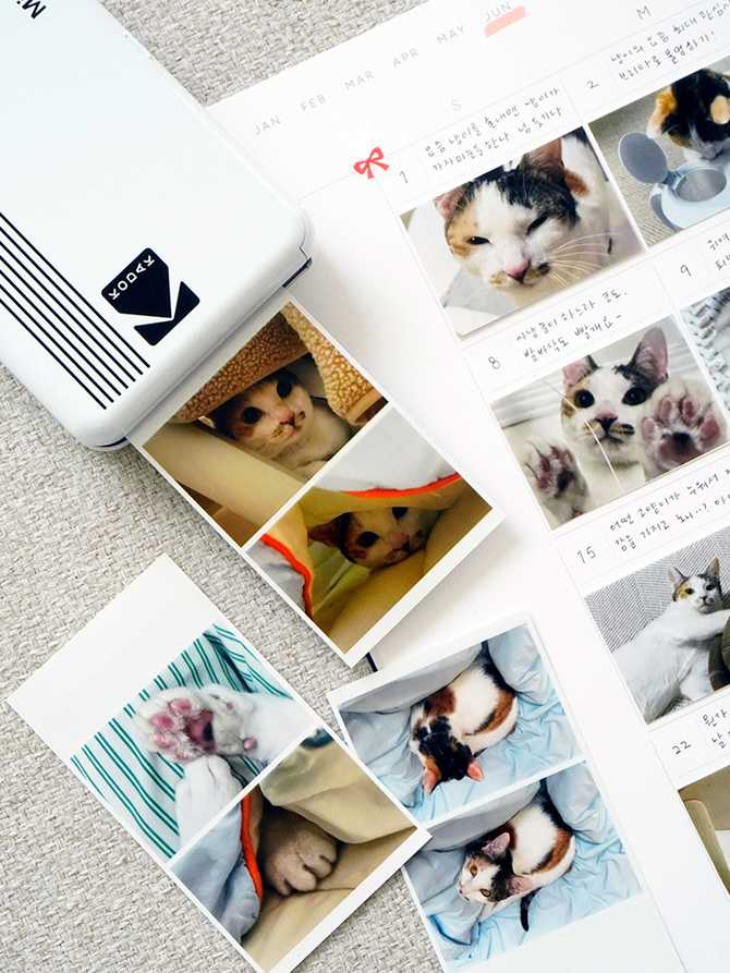 큰 사이즈로 한눈에 쏙! 리훈 오픈뷰 먼슬리 다이어리 라지 플래너