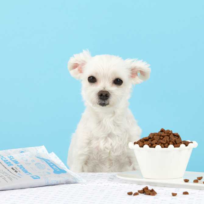 관절과 체중 조절에 도움 되는 강아지 사료, 오리고기 함유 1kg