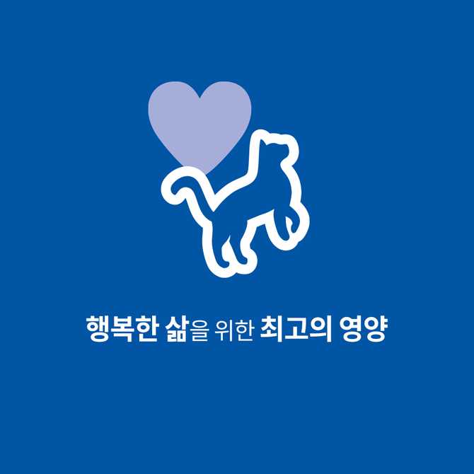 고양이에게 딱 맞는 사료, 힐스 어덜트 헬시 퀴진 치킨 & 쌀 스튜