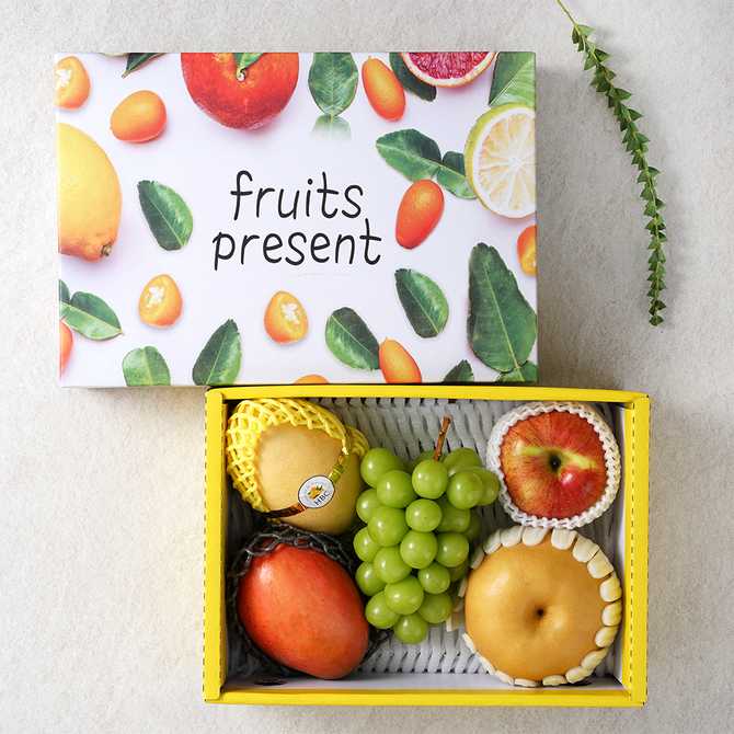 명절 선물로 딱! 다양한 과일이 가득한 혼합 세트 소개