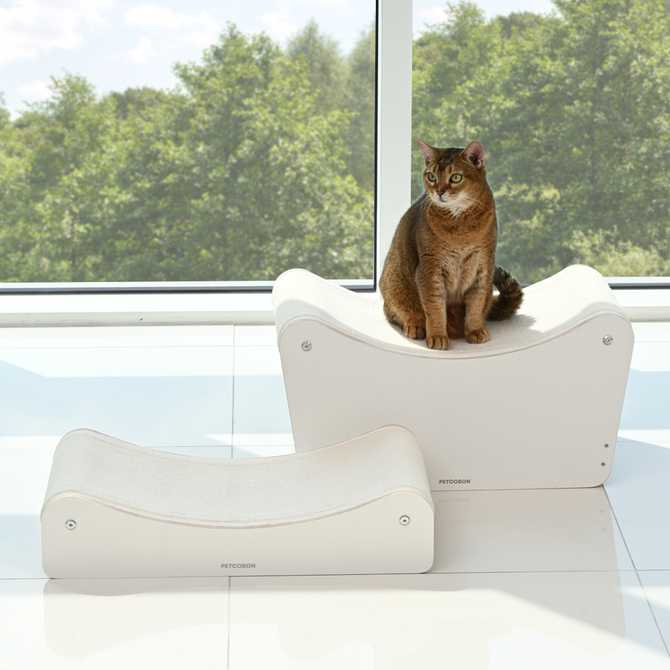 고양이 집과 스크래쳐를 한 번에! 펫코본 원목 소파형 숨숨집