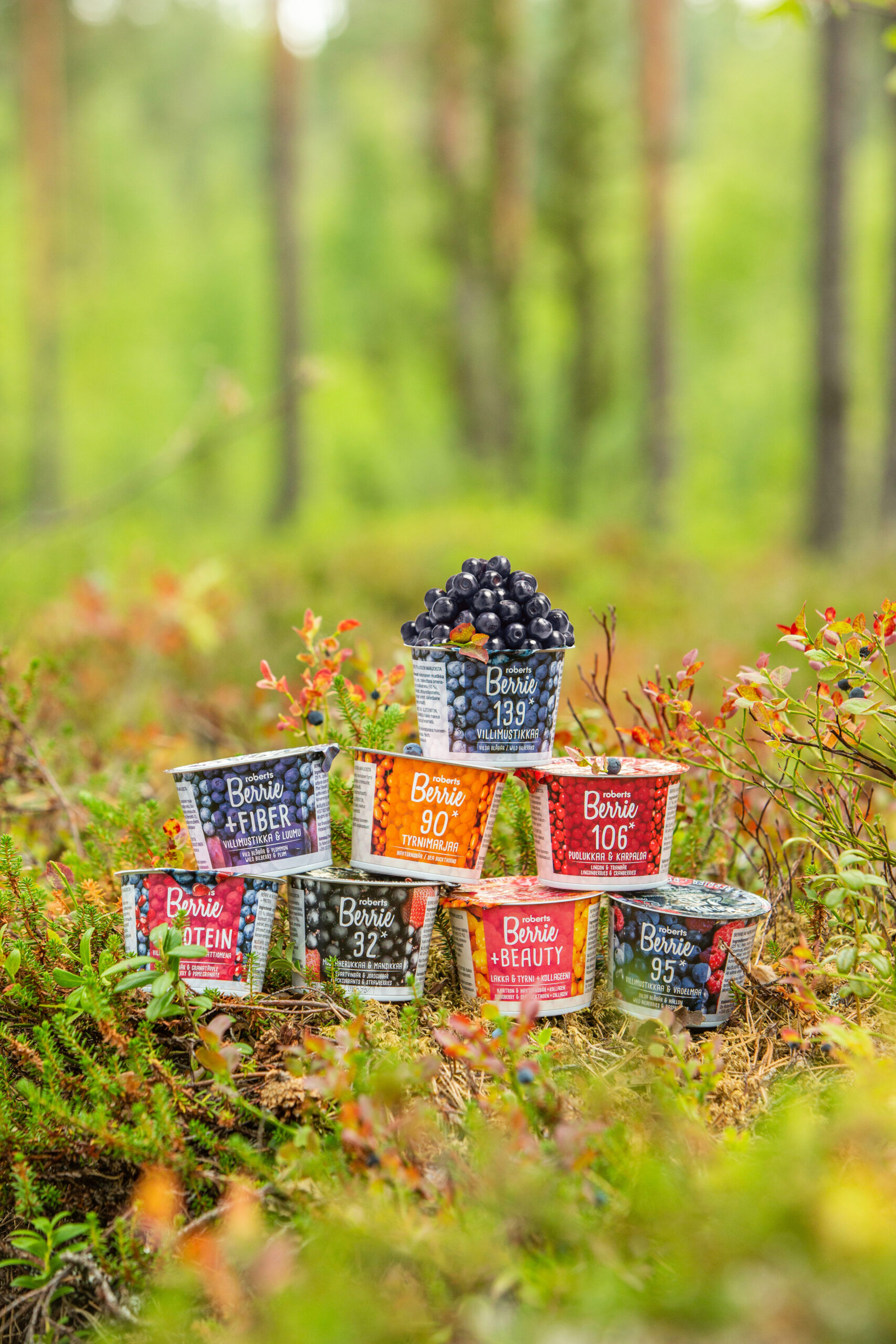 가정에서도 간편하게 즐기는 야생 빌베리 디스펜서, 3리터 용량으로 넉넉하게!