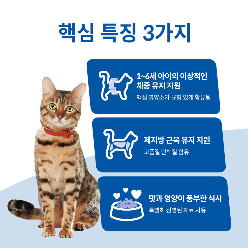 고양이에게 딱 맞는 건강한 사료, 힐스 어덜트 치킨 & 쌀 스튜 추천!