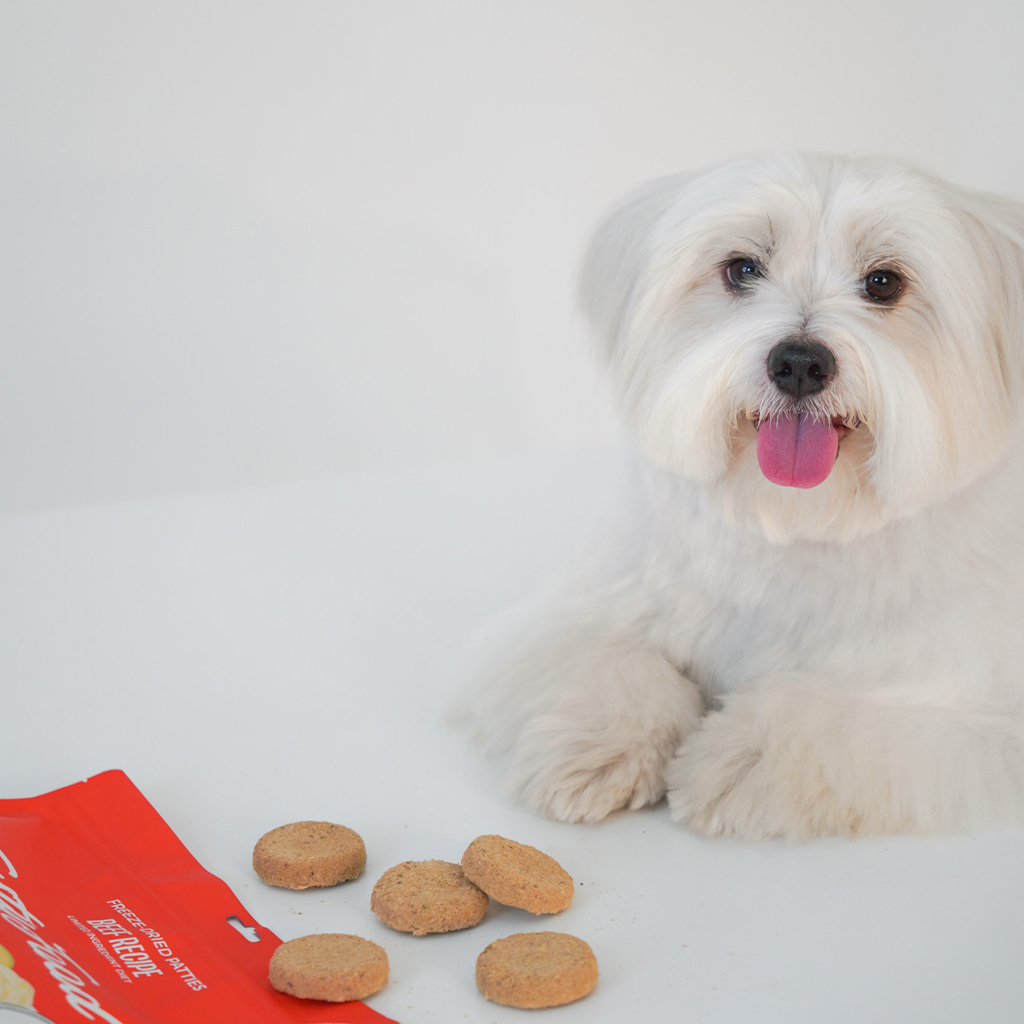 집에서 간편하게 즐기는 건강한 소고기 사료, 한번 살펴보세요!
