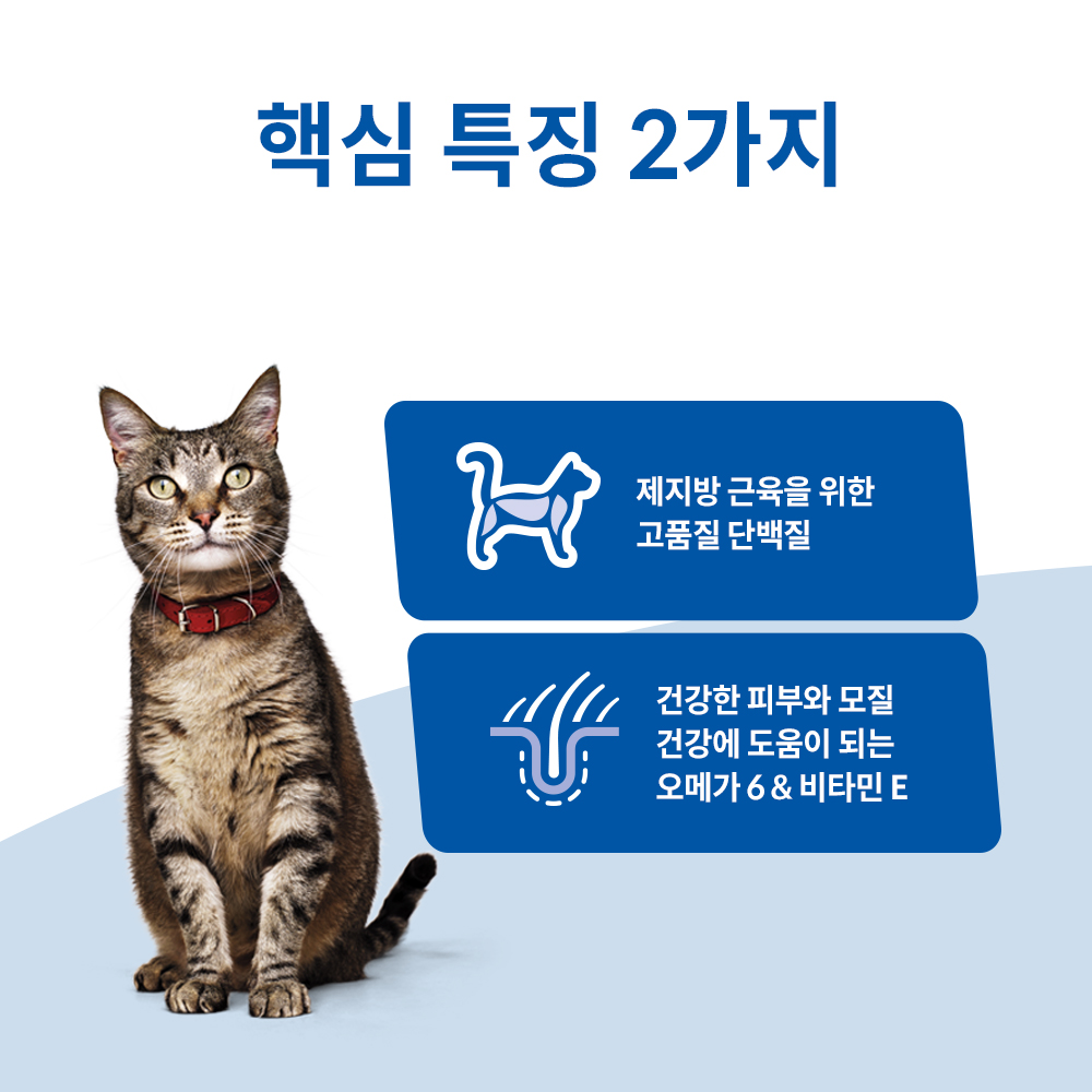 고양이에게 딱 맞는 어덜트 사료, 힐스 2kg로 건강 챙기기