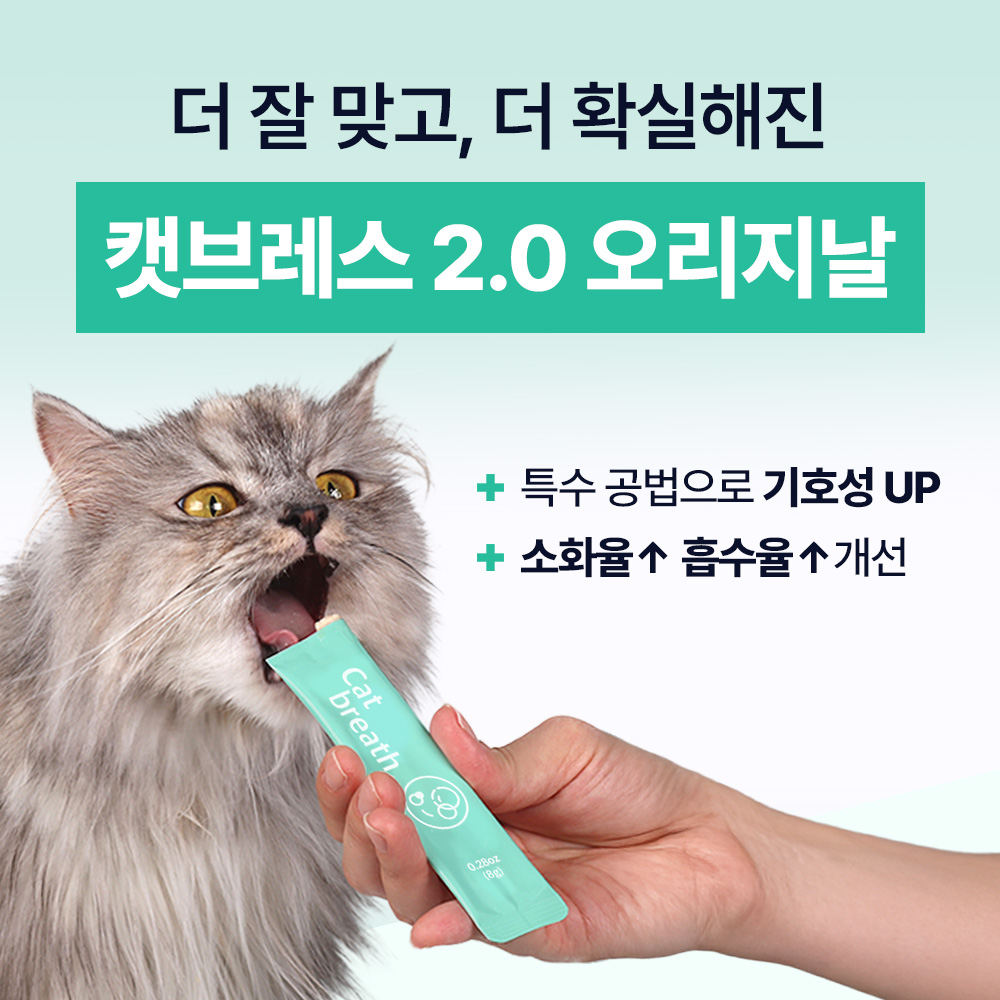 고양이 건강을 위한 기관지 영양제, 이렇게 선택하세요!
