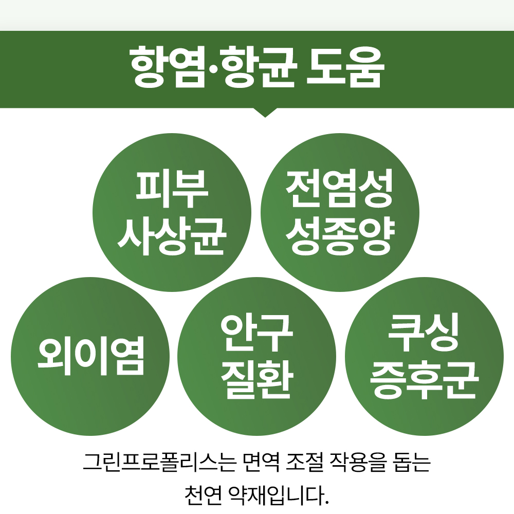 우리 강아지 건강을 위한 구강 영양제, 이렇게 선택하세요!