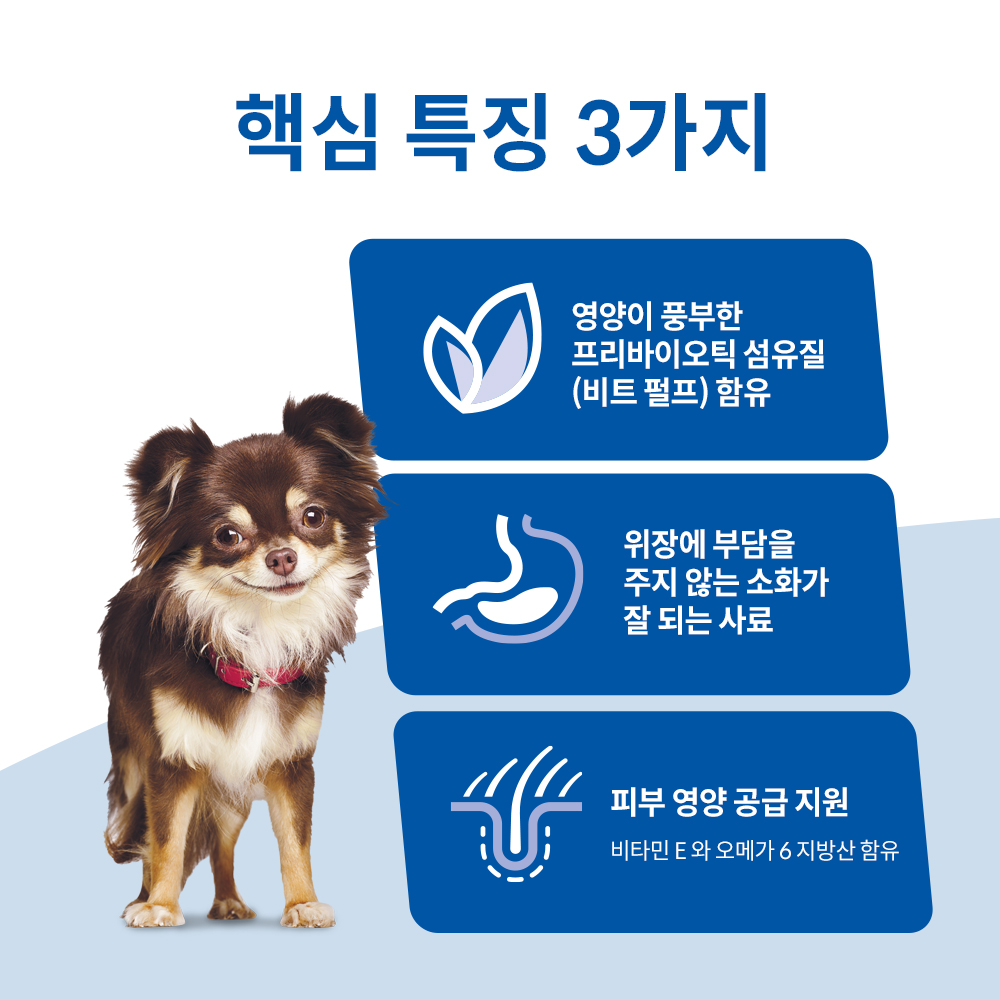 반려견을 위한 건강한 식사, 강아지 사료 추천과 선택 팁