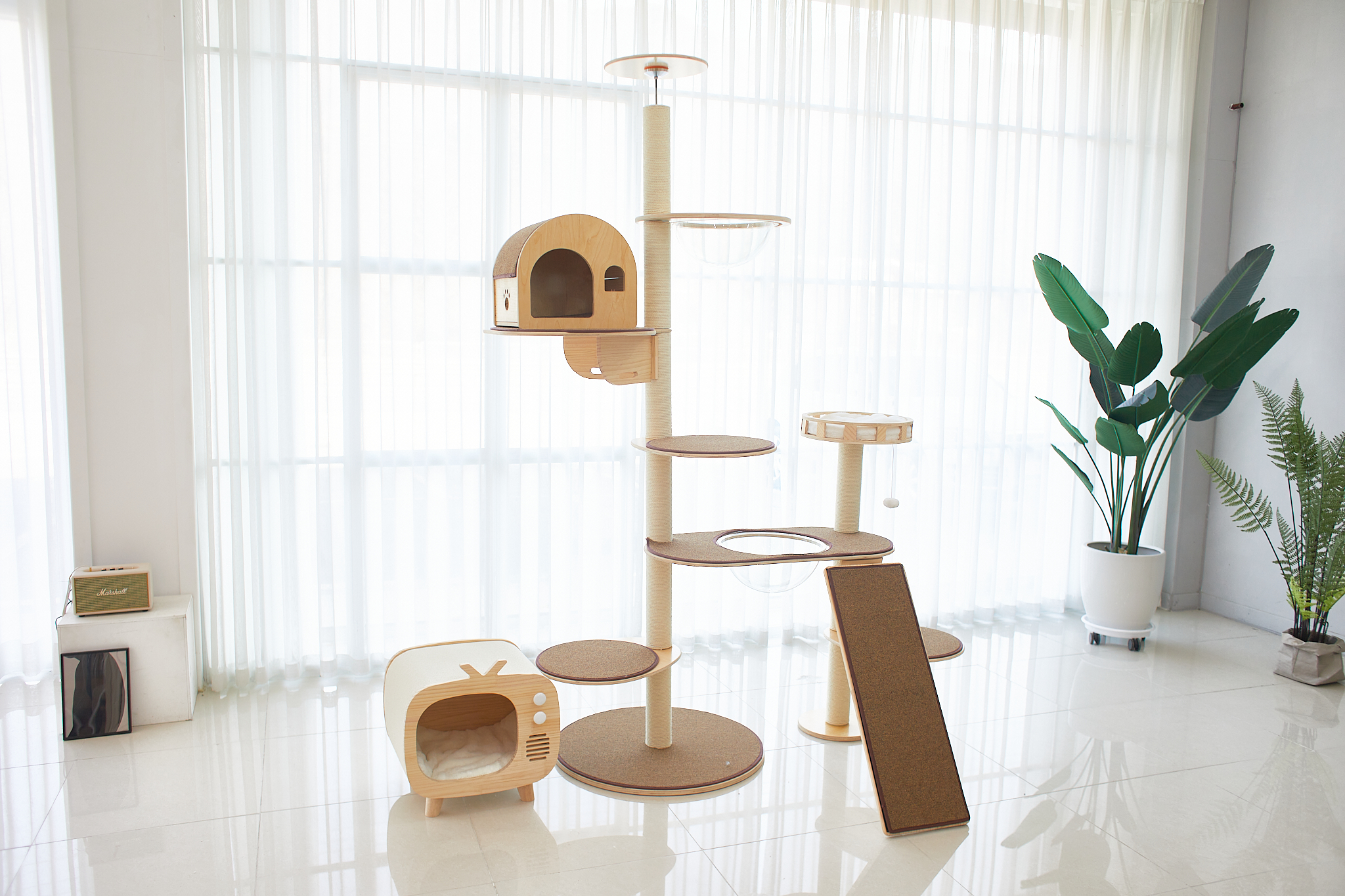 고양이들이 좋아하는 가르르 오로라 캣타워, 집에서도 쉽게 설치해보세요!