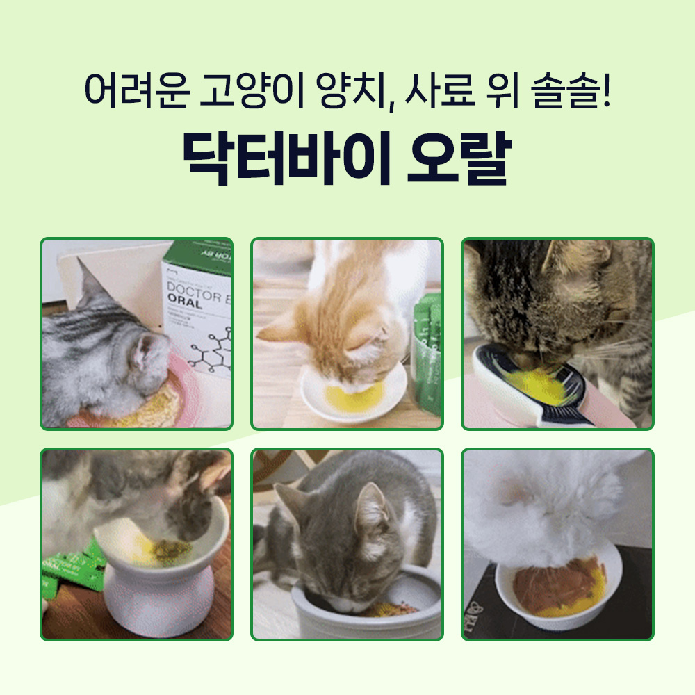 고양이 구내염 걱정 끝! 치아 건강을 위한 영양제 추천