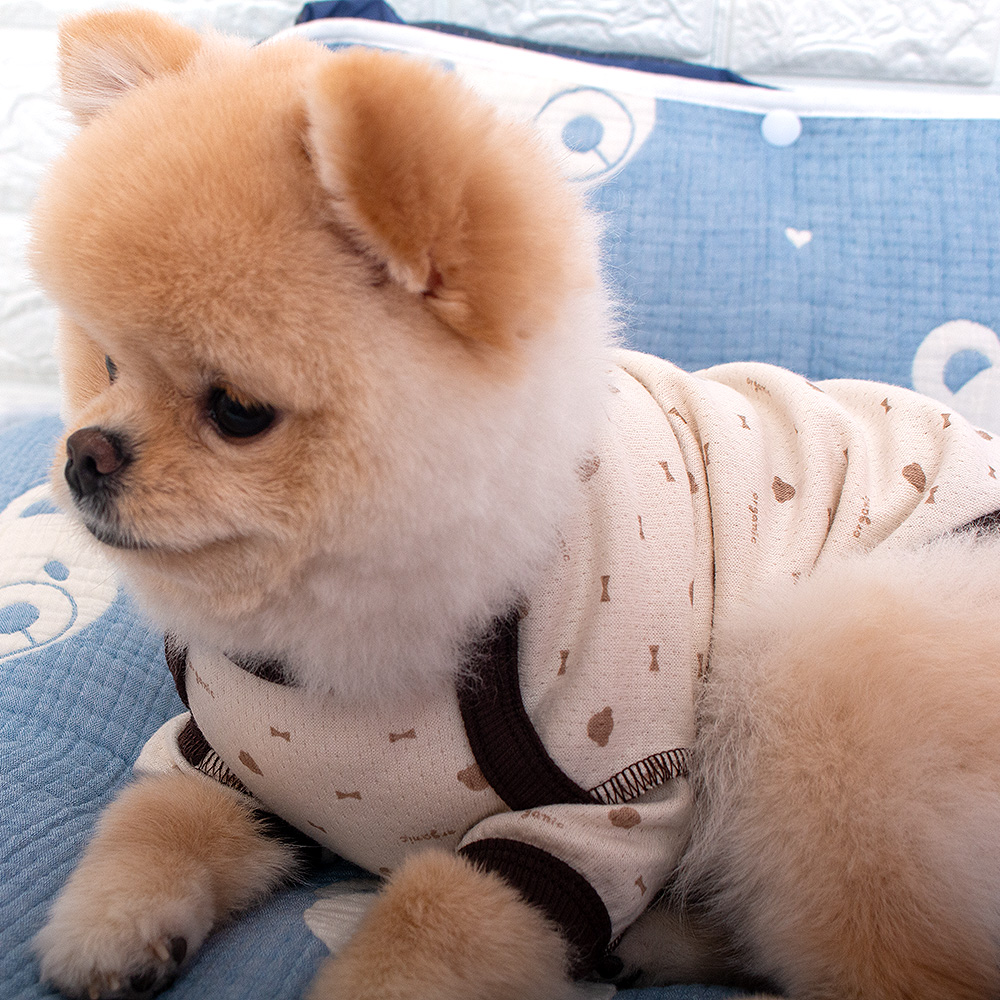 우리 강아지에게 딱 맞는 편안한 반팔 옷, 어떤 게 좋을까?