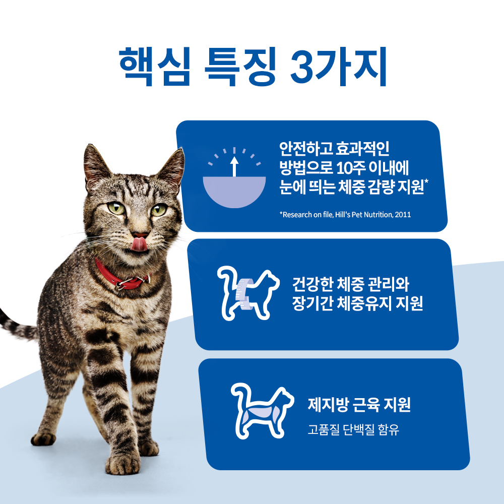 고양이 사랑하는 집사들을 위한 힐스 어덜트 퍼펙트 웨이트 사료 추천
