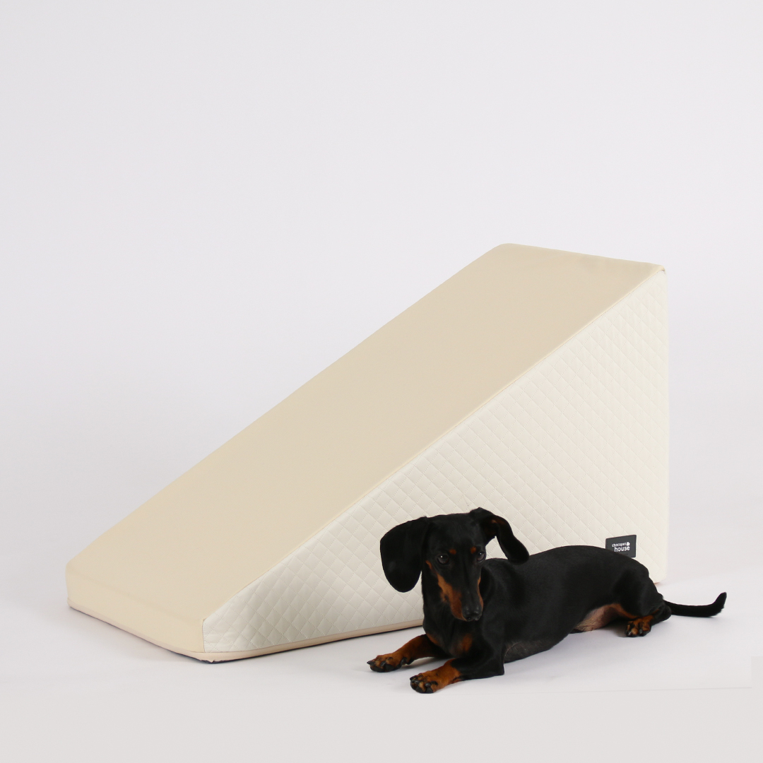 강아지 계단, 집에서도 쉽게 사용할 수 있는 논슬립 스텝 추천!