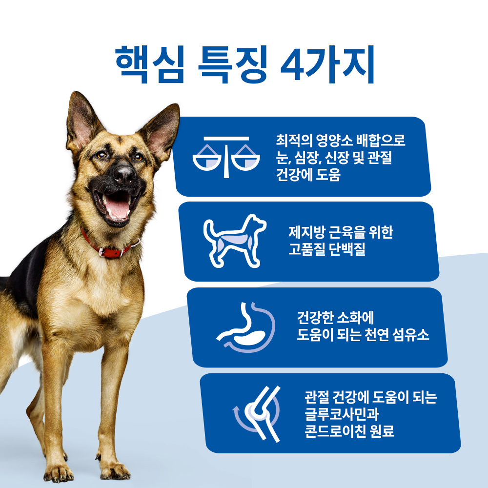 대형견을 위한 건강한 시니어 사료, 힐스 라지브리드 12kg로 챙기세요!