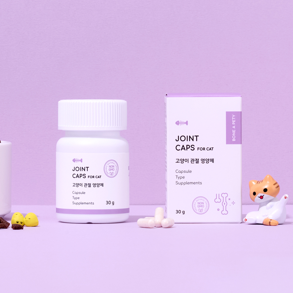 고양이 관절 건강을 위한 영양제, 이렇게 선택하세요!