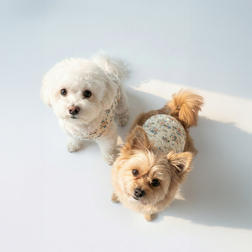 우리 강아지와 고양이에게 딱 맞는 따뜻한 조끼 추천!