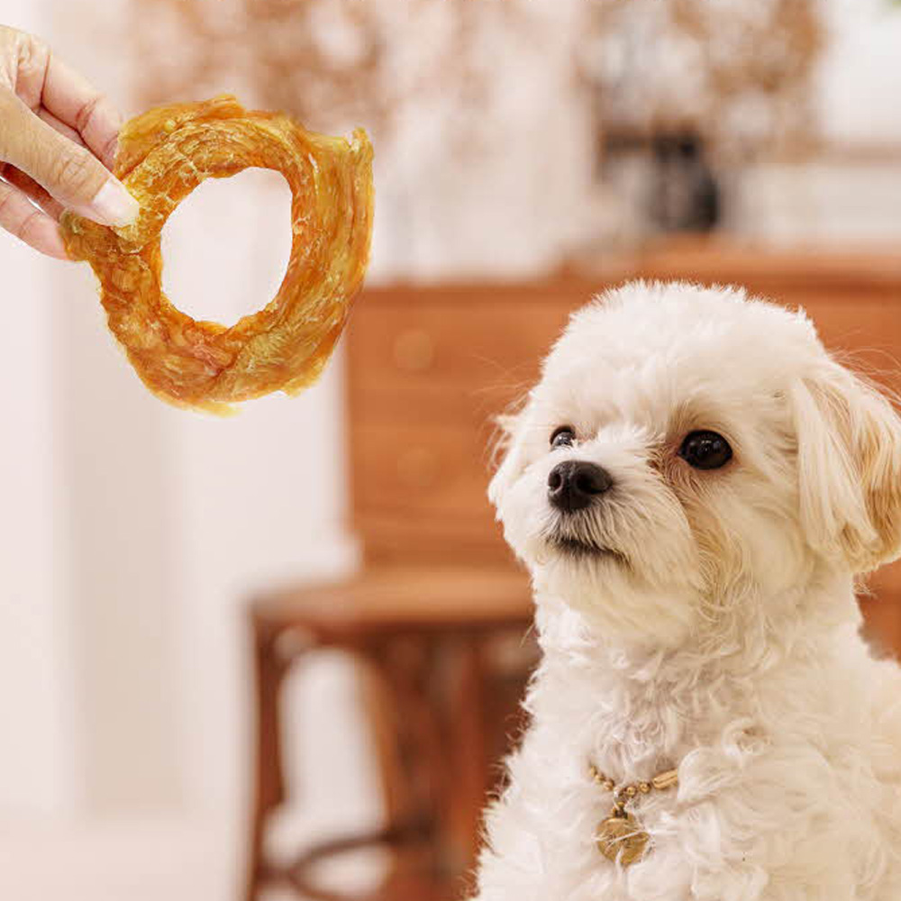 우리 강아지에게 딱 맞는 오래 먹는 간식, 치석 제거도 함께!