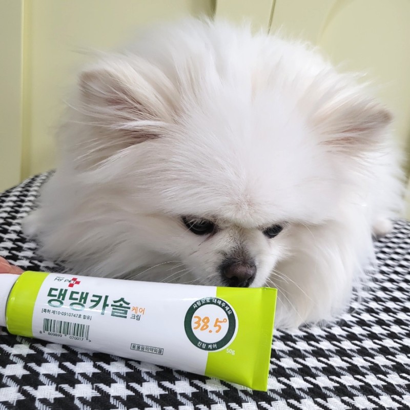 강아지 피부에 딱 맞는 연고, 집에서도 쉽게 사용할 수 있어요!