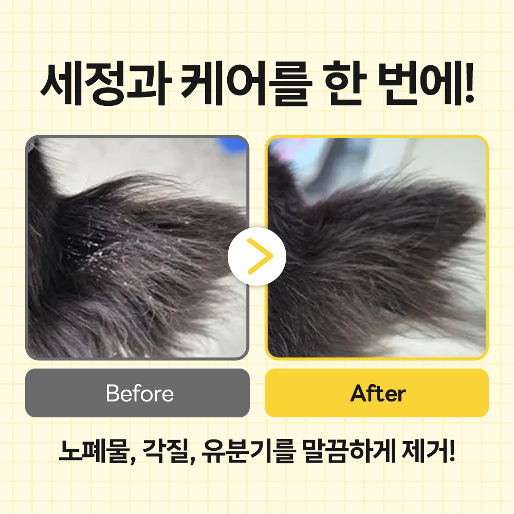 강아지 목욕이 더 편해지는 친근한 샴푸 추천!