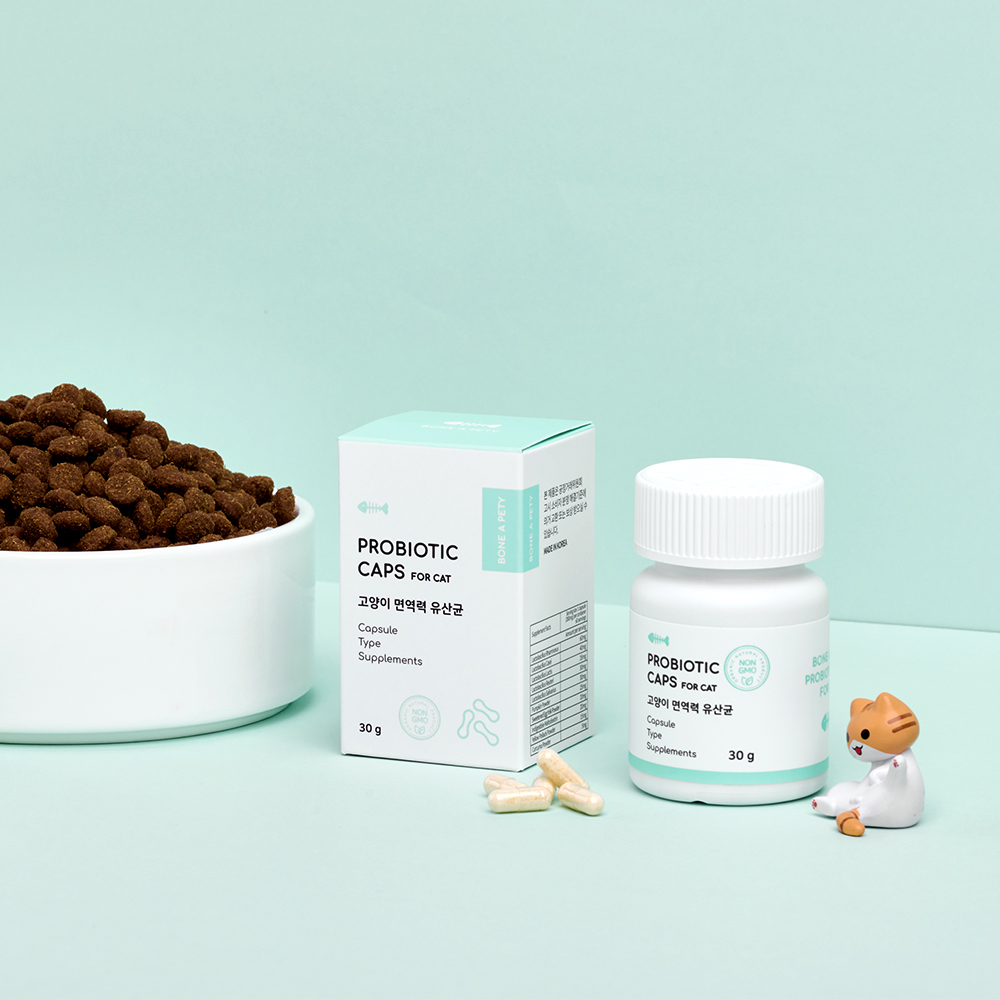 고양이 구강 건강과 소화 개선, 함께 챙기기 좋은 유산균 캡슐 추천