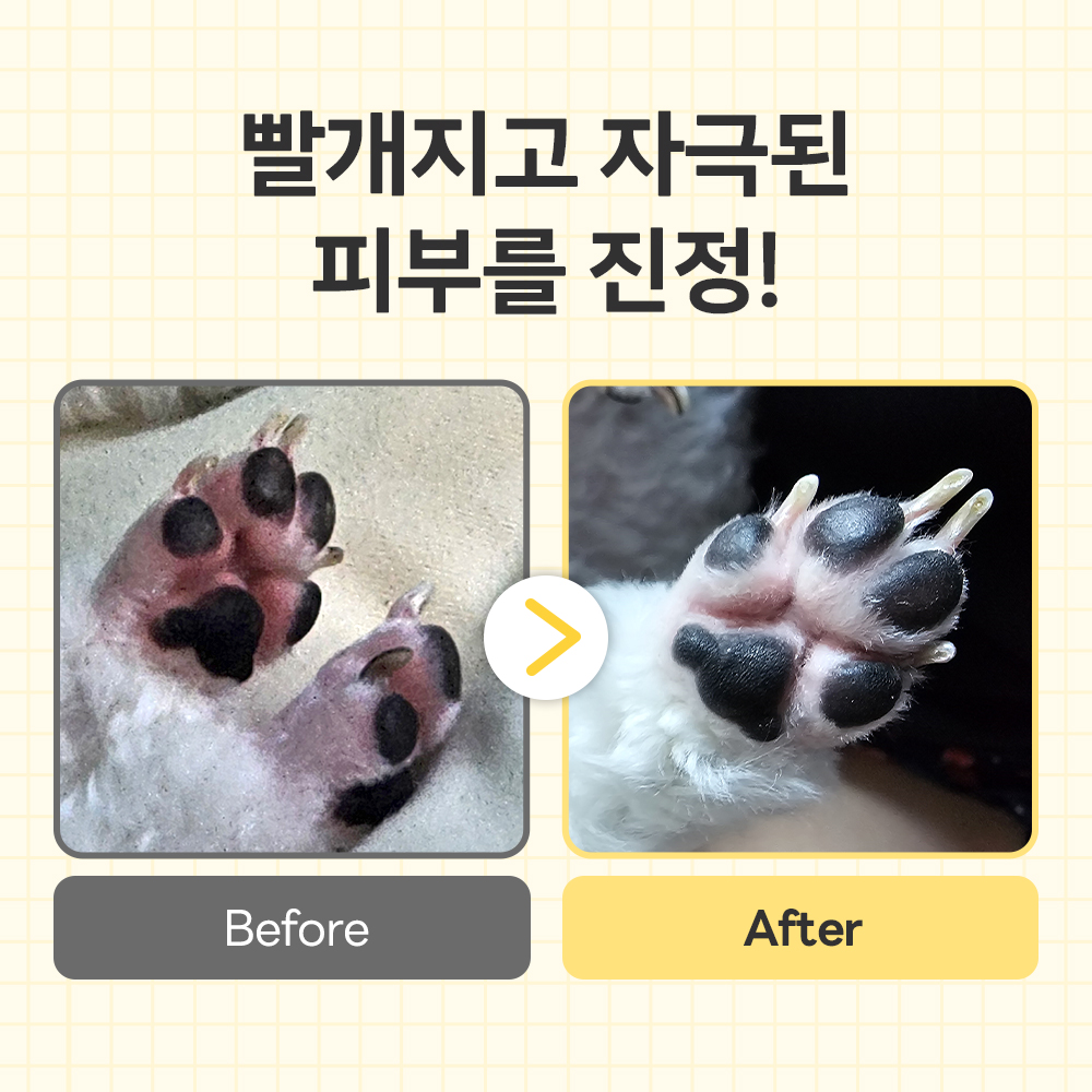 강아지 피부 고민, 집에서 쉽게 해결하는 방법 알려드릴게요!