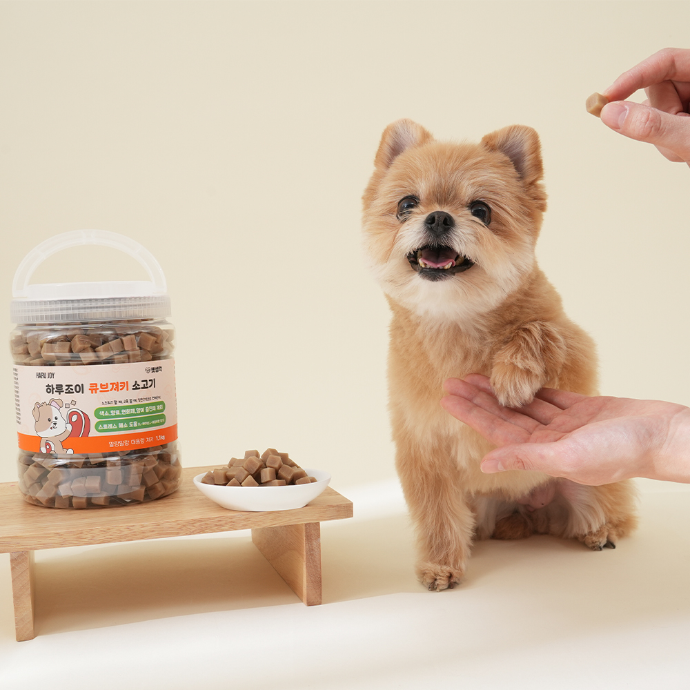 우리 강아지에게 딱 맞는 간식, 노즈워크 트릿으로 훈련도 즐겁게!