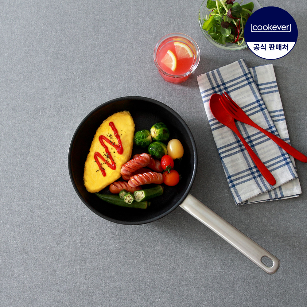 가정에서도 딱 좋은 20cm 인덕션용 스텐 프라이팬 추천
