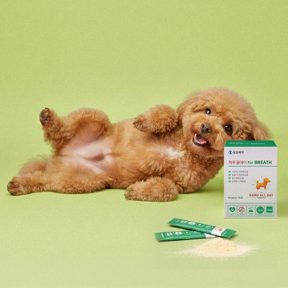 반려견 건강을 위한 기관지 영양제, 이렇게 선택하세요!