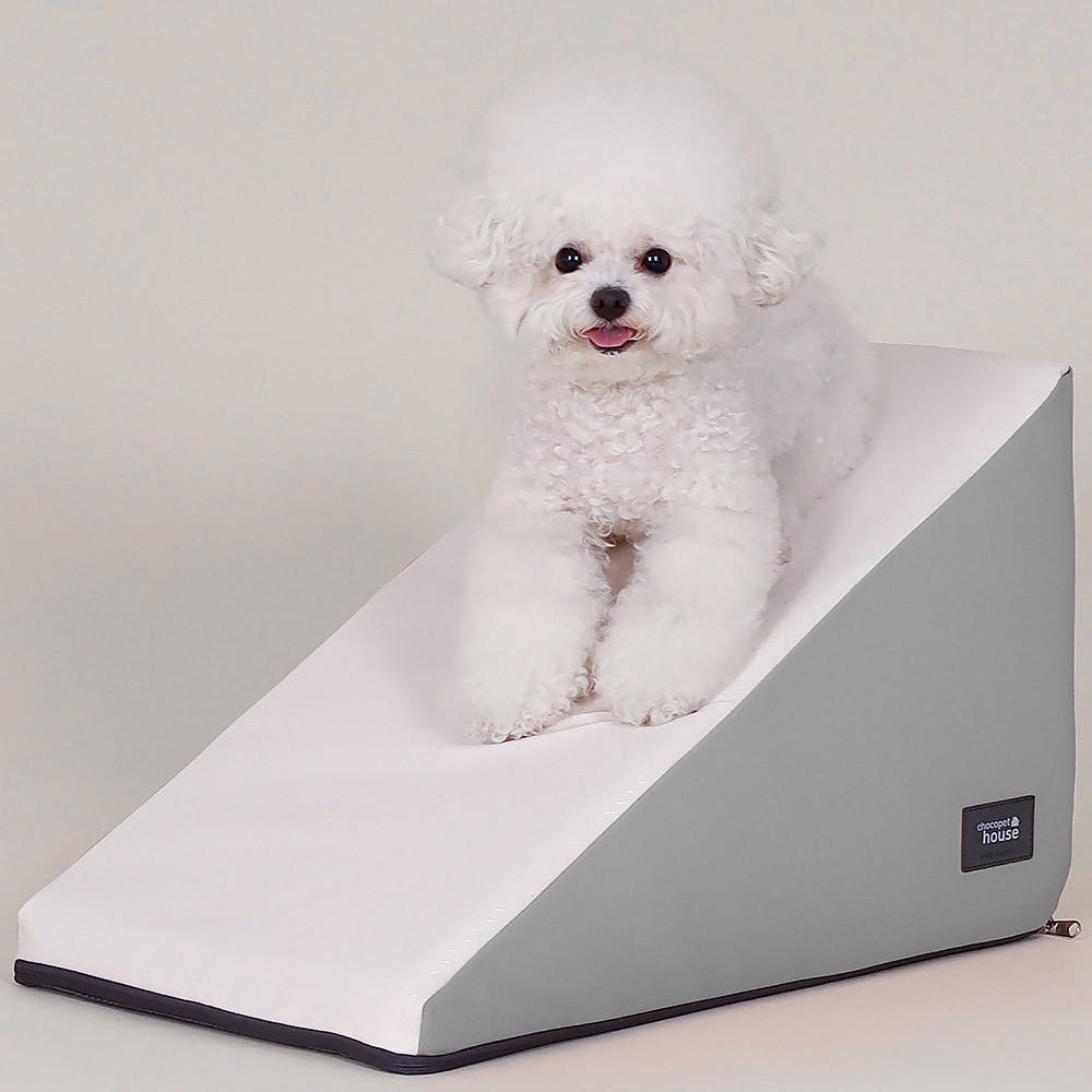 강아지 계단과 슬라이드, 안전하게 사용할 수 있는 방법 알려드릴게요!