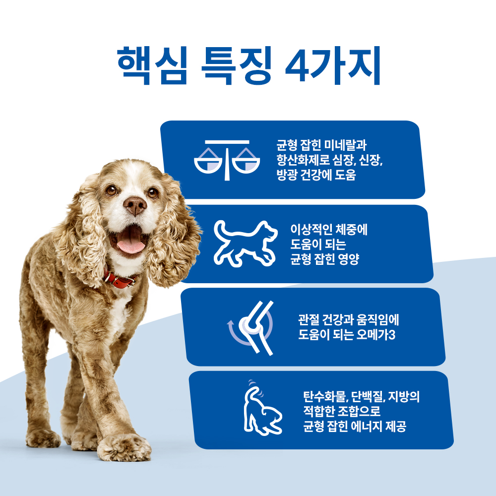 강아지에게 딱 맞는 사료, 힐스 어덜트 11+ 스몰 앤 미니 2kg로 건강 챙기기