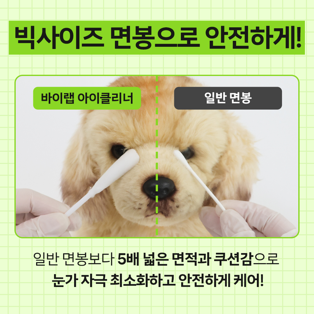 강아지 눈물 자국 걱정 끝! 집에서도 쉽게 눈 세정하는 방법