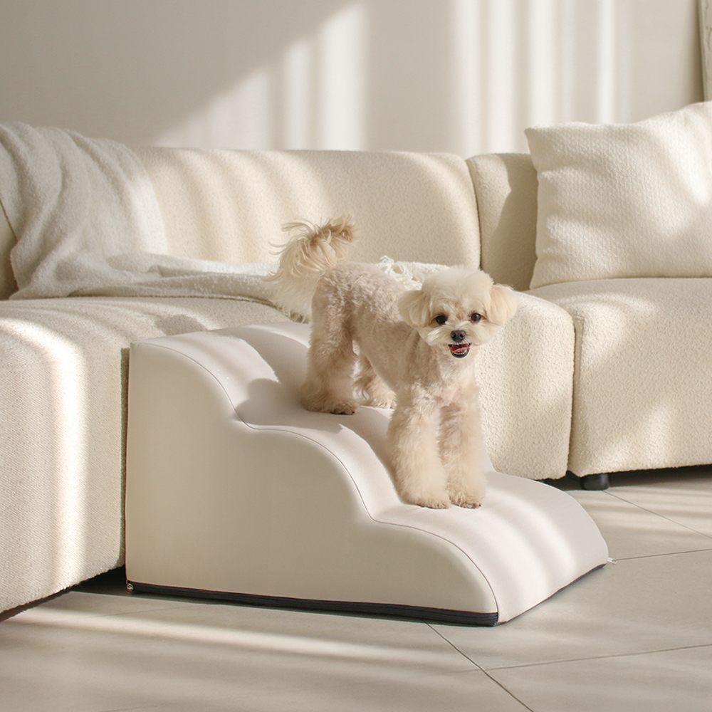 강아지와 고양이 모두 안전하게 사용할 수 있는 미끄럼 방지 계단 추천!